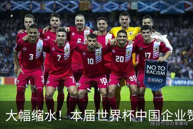 大幅缩水！本届世界杯中国企业赞助投入超5亿美元，较上届缩水64%